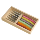 Coffret 6 couteaux Le Thiers manches acrylique couleurs fruitées