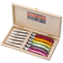 Coffret 6 couteaux Laguiole acrylique couleurs fruitées