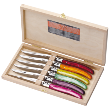 Coffret 6 couteaux Laguiole acrylique couleurs fruitées