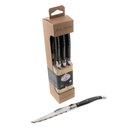 Bloc couteaux steak Jean Dubost Laguiole collection brut manche ABS noir fabrication francaise