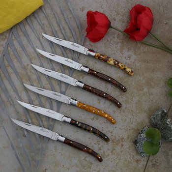 Couteaux de table Jean Dubost Laguiole acrylique ecailles made in France